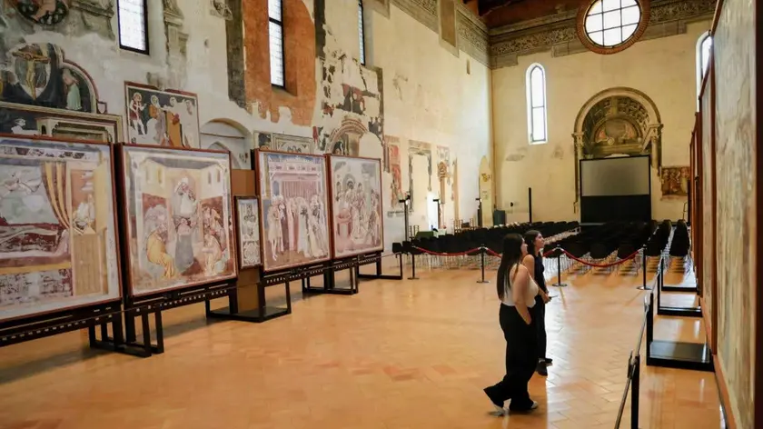 Il ciclo di Sant'Orsola a Treviso