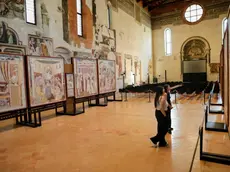Il ciclo di Sant'Orsola a Treviso