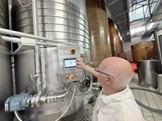 Prosecco, il tesoretto da 680mila ettolitri e la battaglia sui vigneti eroici
