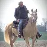 Domenico Guabello a cavallo