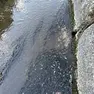 La situazione nel fiume Zero
