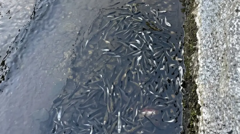 La situazione nel fiume Zero