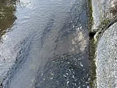 La situazione nel fiume Zero