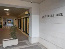 Conegliano, Corte delle Rose