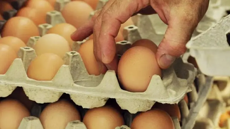 Uova, richiamate quattro confezioni per presenza di Salmonella sul guscio
