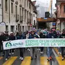 Una manifestazione di Advar in centro a Treviso