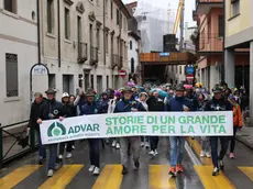 Una manifestazione di Advar in centro a Treviso