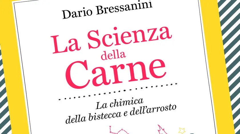 La copertina del volume