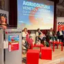 Il convegno