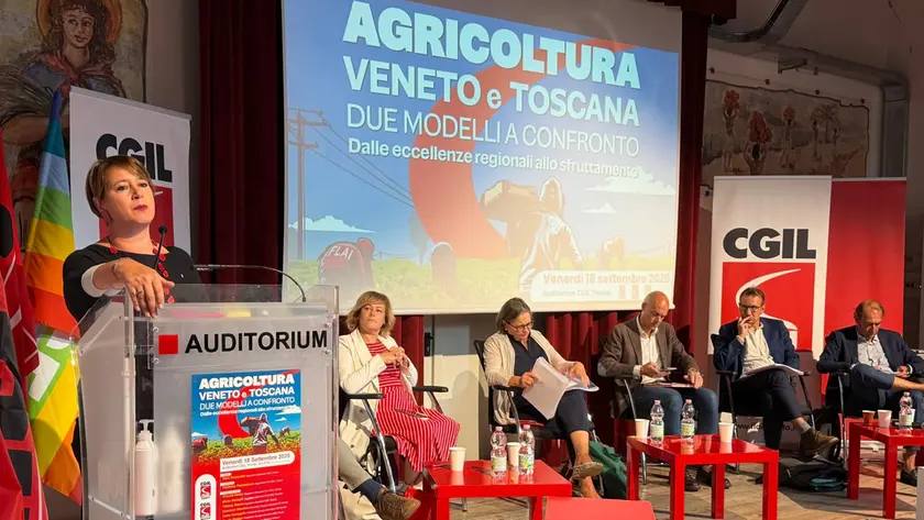 Il convegno