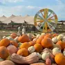 Il Villaggio delle Zucche di Nonno Andrea