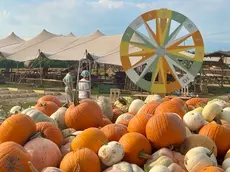 Il Villaggio delle Zucche di Nonno Andrea