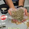 Parte della droga e dei contanti sequestrati