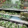 Insalata a peso d'oro