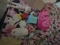 Lo zainetto rubato alla bimba tedesca