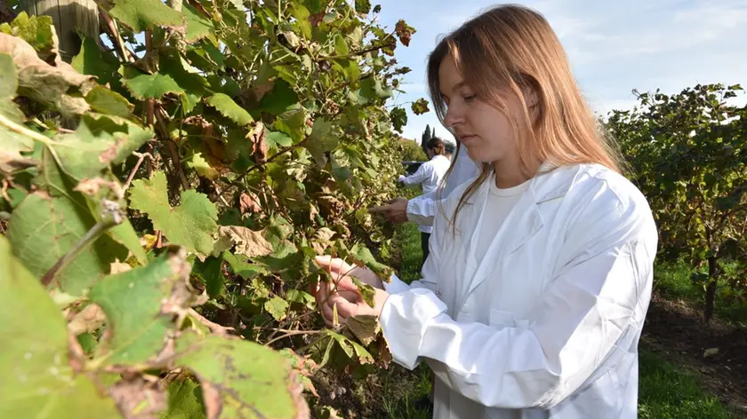 Agritech