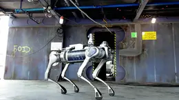 Uno dei cani robot che opera all'interno del cantiere navale di Monfalcone