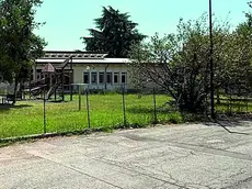 Treviso, prima dell’arresto era stato picchiato: il retroscena dell’omicidio di via Pasubio