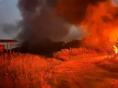 L'incendio scoppiato a Borso del Grappa