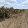 Siepe abbattuta