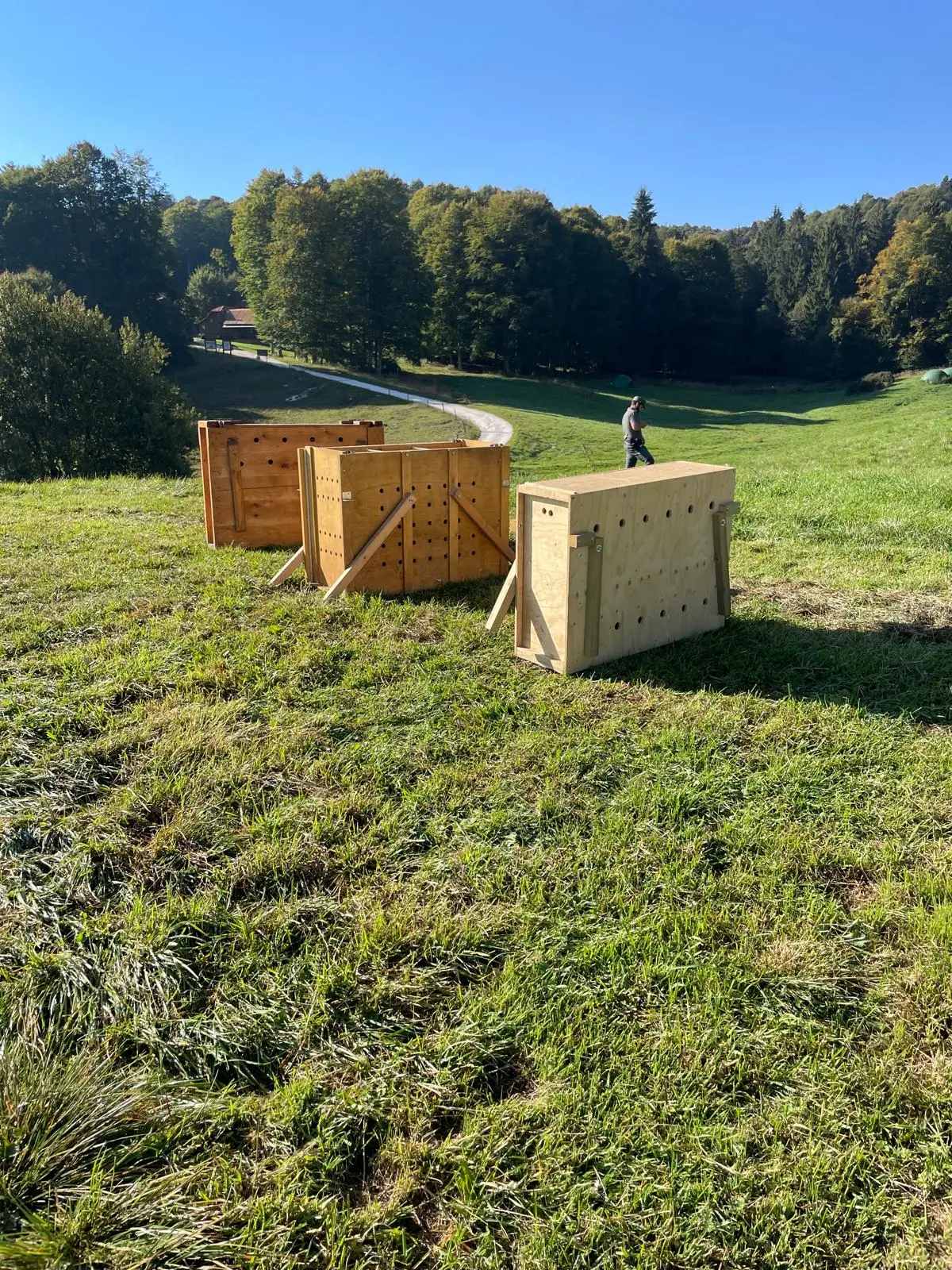 Le casse con i tre caprioli curati al Cras a Villa Zuppani di Villiago di Sedico pronti per il rilascio in natura in Cansiglio