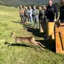 La liberazione in Cansiglio dei tre caprioli curati al Cras a Villa Zuppani di Villiago di Sedico