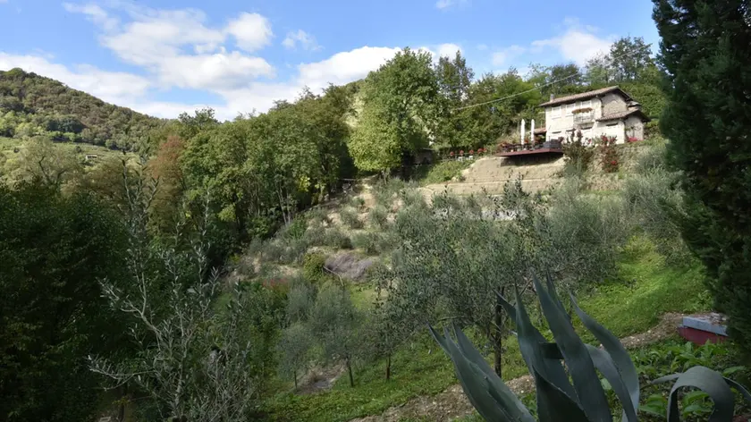 Valdobbiadene, 200 frane a rischio sui ciglioni: il Comune attende i fondi