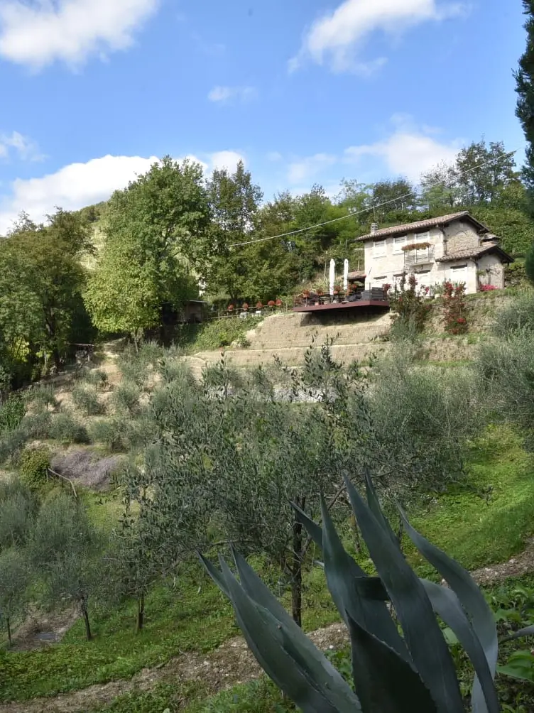 Valdobbiadene, 200 frane a rischio sui ciglioni: il Comune attende i fondi