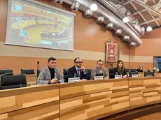 La provincia di Treviso ha messo a bilancio 200 mila euro da spendere in pubblicità