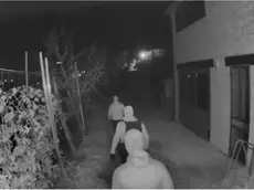 Ladri recentemente in azione sulle colline del Docg