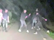 Un frame della rissa in Baita al Lago
