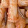 Le larve rinvenute nella pasta