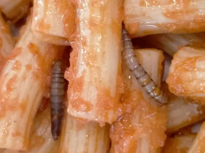 Le larve rinvenute nella pasta