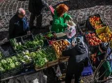 Frutta e verdura al mercato