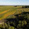 Parte dell’area interessata dal progetto (foto Katia Bonaventura)