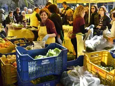 Arriva un mercatino fuori dall'ospedale di Treviso (foto archivio)