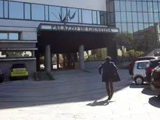 Il tribunale di Treviso