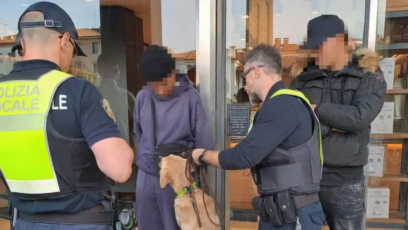 I controlli della polizia locale a Treviso