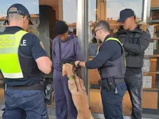 I controlli della polizia locale a Treviso