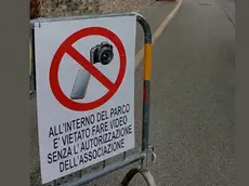 L'avviso apparso fuori dalle Fiere di San Luca a Treviso
