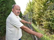 Marino Vazzoler mostra la recinzione tagliata dai ladri