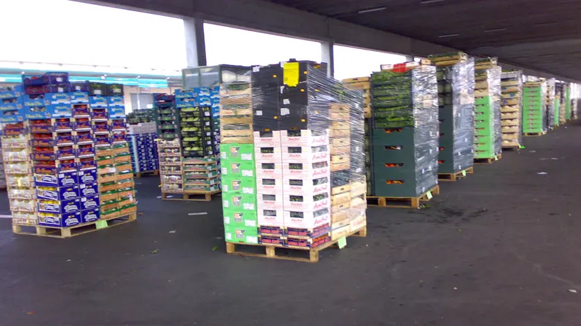 Cassette di frutta e verdura stoccate al mercato ortofrutticolo
