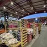 Il mercato ortofrutticolo di Treviso