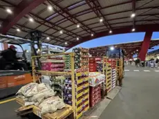 Il mercato ortofrutticolo di Treviso