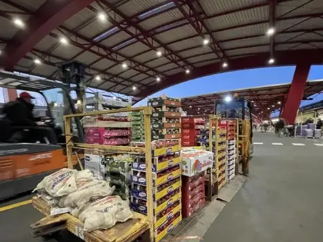 Il mercato ortofrutticolo di Treviso