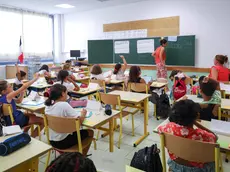 Una classe a lezione: a Montebelluna la proposta di assaggio del vino ha creato uncaso