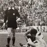 Domenico “Nico” Falzier