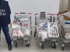I prodotti sequestrati dalla Guardia Costiera