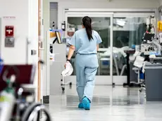 Sanità trevigiana sotto stress: i dati