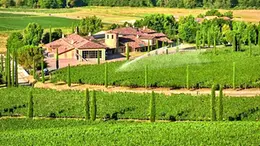 La cantina Jermann a Ruttars, in Comune di Dolegna